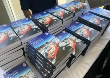 public-service-job-cuts-budget-2025