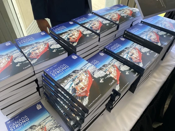 public-service-job-cuts-budget-2025