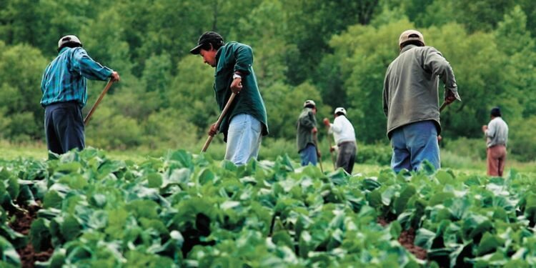 സമ്പന്ന കാനഡയുടെ മറുവശം: കുടിയേറ്റ തൊഴിലാളികളെ കാത്തിരിക്കുന്നത് സാമ്പത്തിക ചൂഷണവും ശാരീരിക പീഡനവും; ഞെട്ടിക്കുന്ന റിപ്പോർട്ട് പുറത്ത് 1 സമ്പന്ന കാനഡയുടെ മറുവശം: കുടിയേറ്റ തൊഴിലാളികളെ കാത്തിരിക്കുന്നത് സാമ്പത്തിക ചൂഷണവും ശാരീരിക പീഡനവും; ഞെട്ടിക്കുന്ന റിപ്പോർട്ട് പുറത്ത്