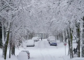 alberta snow fall