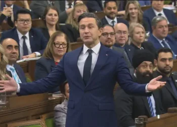 pipeline-motion-a-cynical-