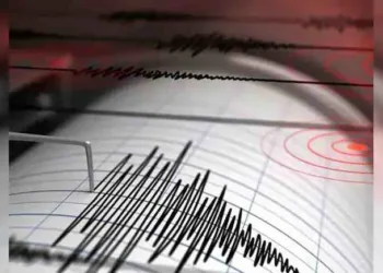 sesmic wave