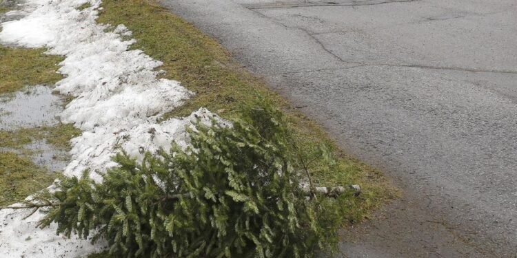 പുതുവത്സരപ്പിറവി: നയാഗ്രയിൽ സൗജന്യ ബസ് യാത്ര; മാലിന്യശേഖരണ ദിനങ്ങളിലും മാറ്റം; ശ്രദ്ധിക്കേണ്ട കാര്യങ്ങൾ 1 Weather conditions may delay collection. Leave your Christmas tree at the end of the driveway and it will be collected.