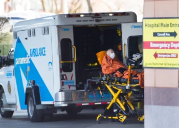 കാനഡയിൽ പടരുന്ന എച്ച്3എൻ2 ഇൻഫ്ലുവൻസയും ഹൃദയാഘാത സാധ്യതയും: മുന്നറിയിപ്പുമായി വിദഗ്ധർ 1 /flu-risk-heart-attack