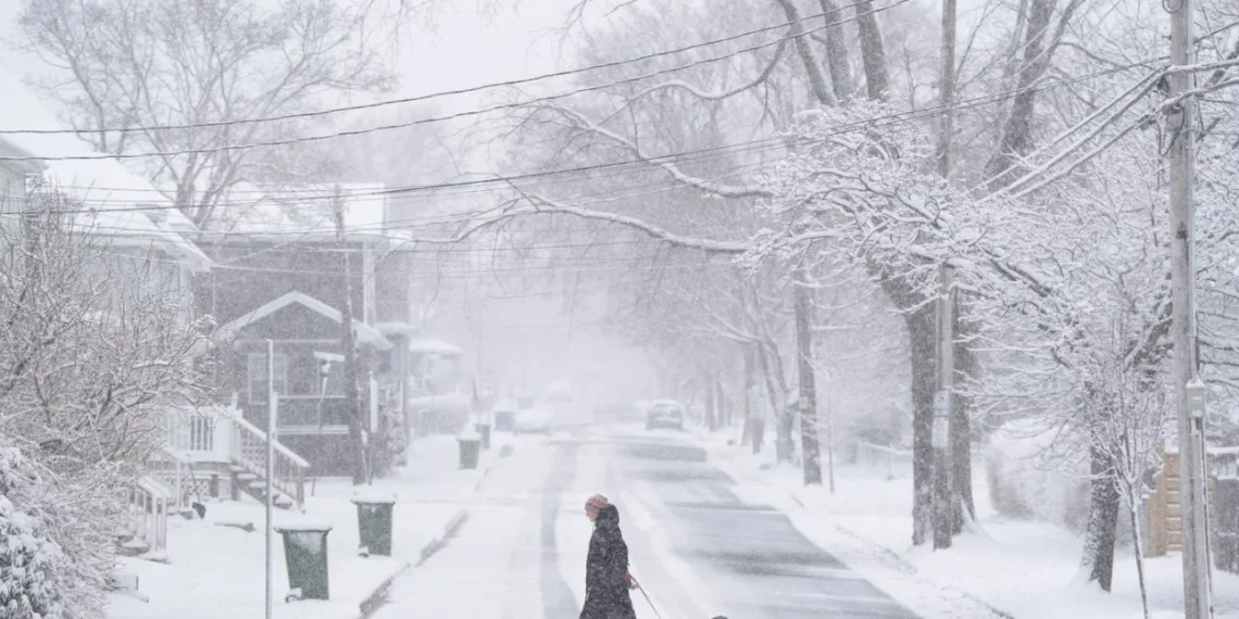 A pedestrian walks their dog across the street in Halifax
