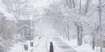 A pedestrian walks their dog across the street in Halifax