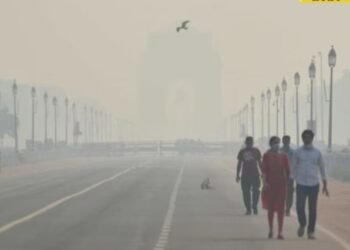 delhi