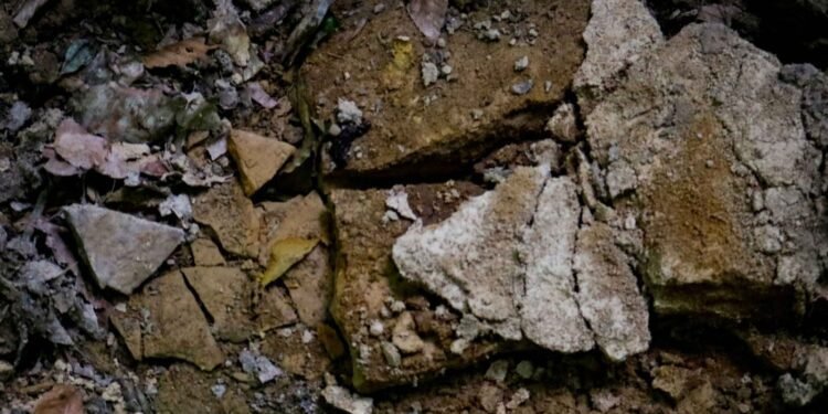 Its geoscientists use this system to map the subsurface beneath the Cisco property and other early-stage mineral projects worldwide.