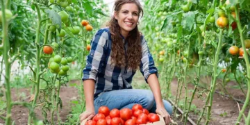പി.ഇ.ഐയിൽ യുവ കർഷകർക്ക് കൈത്താങ്ങായി പുതിയ വായ്പാ പദ്ധതി; ഇനി കുറഞ്ഞ പലിശയ്ക്ക് ലോൺ ലഭിക്കും 2 PEI farmer