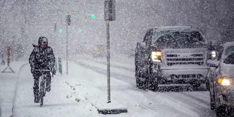 കാൽഗറിയിൽ തണുപ്പേറുന്നു; ഈ ആഴ്ച വീണ്ടും കനത്ത മഞ്ഞുവീഴ്ചയ്ക്ക് സാധ്യത 1 കാൽഗറിയിൽ തണുപ്പേറുന്നു; ഈ ആഴ്ച വീണ്ടും കനത്ത മഞ്ഞുവീഴ്ചയ്ക്ക് സാധ്യത