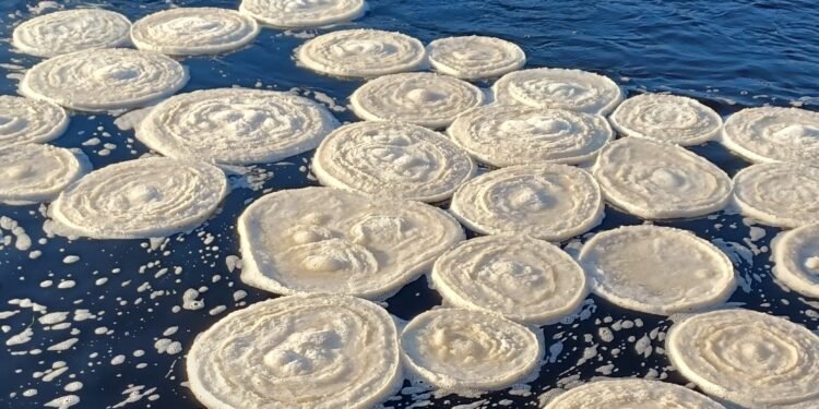 സ്കോട്‌ലൻഡിൽ തടാകത്തിനു മുകളിലൂടെ ഒഴുകുന്ന ഐസ് പൊറോട്ടകൾ; അപൂർവ പ്രതിഭാസം രൂപപ്പെട്ടതിൻ്റെ കാരണം ഇതാണ്