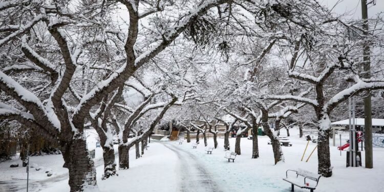 അതിശൈത്യവും കൊടുങ്കാറ്റും: കാനഡയിലെ 10 പ്രവിശ്യകളിൽ കാലാവസ്ഥാ മുന്നറിയിപ്പ്