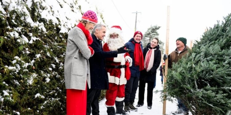 ക്രിസ്മസ് കൗണ്ട്ഡൗൺ ഒട്ടാവയിൽ: പ്രധാനമന്ത്രി കാർണി ഉൾപ്പെടെ നിരവധി പേർ ട്രീ ഫാമിൽ