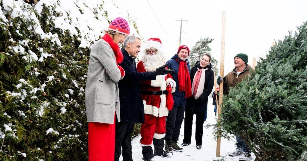 ക്രിസ്മസ് കൗണ്ട്ഡൗൺ ഒട്ടാവയിൽ: പ്രധാനമന്ത്രി കാർണി ഉൾപ്പെടെ നിരവധി പേർ ട്രീ ഫാമിൽ