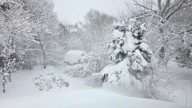 പ്രിൻസ് എഡ്വേർഡ് ദ്വീപിൽ ശീതകാല കൊടുങ്കാറ്റ്: 40 സെന്റീമീറ്റർ വരെ മഞ്ഞുവീഴ്ചയ്ക്ക് സാധ്യത