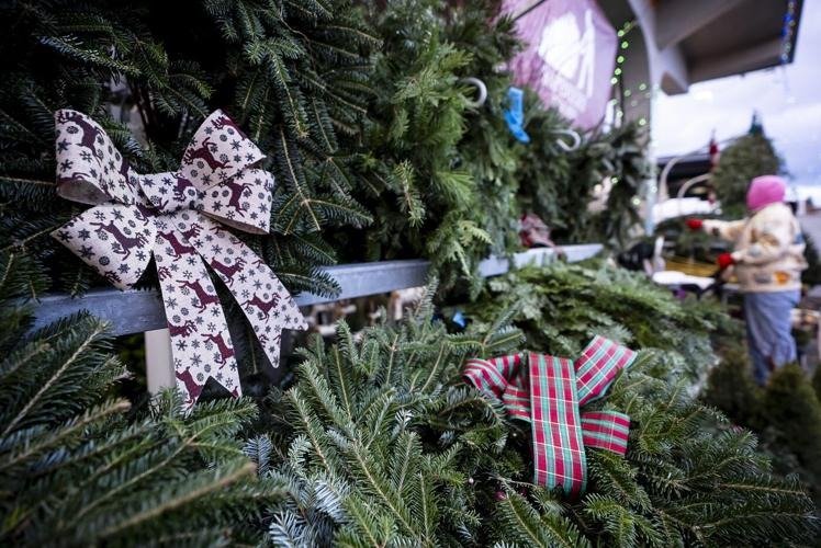 നോവ സ്കോഷ്യയിൽ ക്രിസ്മസ് മരങ്ങളുടെ വിൽപ്പനയിൽ വൻ വർധനവ്;പ്രാദേശിക വിപണിയിൽ ആവശ്യക്കാർ ഏറുന്നു