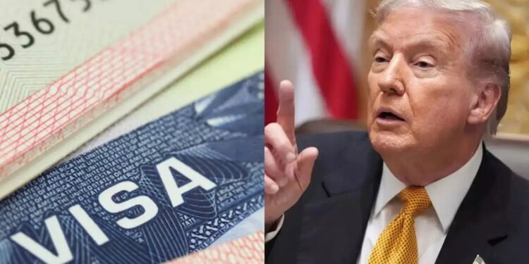 ബ്രൗൺ സർവകലാശാല വെടിവെപ്പ് ; അമേരിക്കയിൽ ഡൈവേഴ്സിറ്റി വിസ പ്രോഗ്രാം താൽക്കാലികമായി നിർത്തിവെച്ചു 1 ബ്രൗൺ സർവകലാശാല വെടിവെപ്പ് ; അമേരിക്കയിൽ ഡൈവേഴ്സിറ്റി വിസ പ്രോഗ്രാം താൽക്കാലികമായി നിർത്തിവെച്ചു