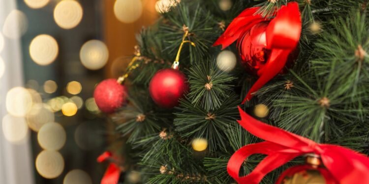 ഹാലിഫാക്സ് മേഖലയിൽ ക്രിസ്മസ് ദിനത്തിൽ ഏതൊക്കെ സേവനങ്ങൾ ലഭ്യമാകും? അറിഞ്ഞിരിക്കാം 1 ഹാലിഫാക്സ് മേഖലയിൽ ക്രിസ്മസ് ദിനത്തിൽ ഏതൊക്കെ സേവനങ്ങൾ ലഭ്യമാകും? അറിഞ്ഞിരിക്കാം