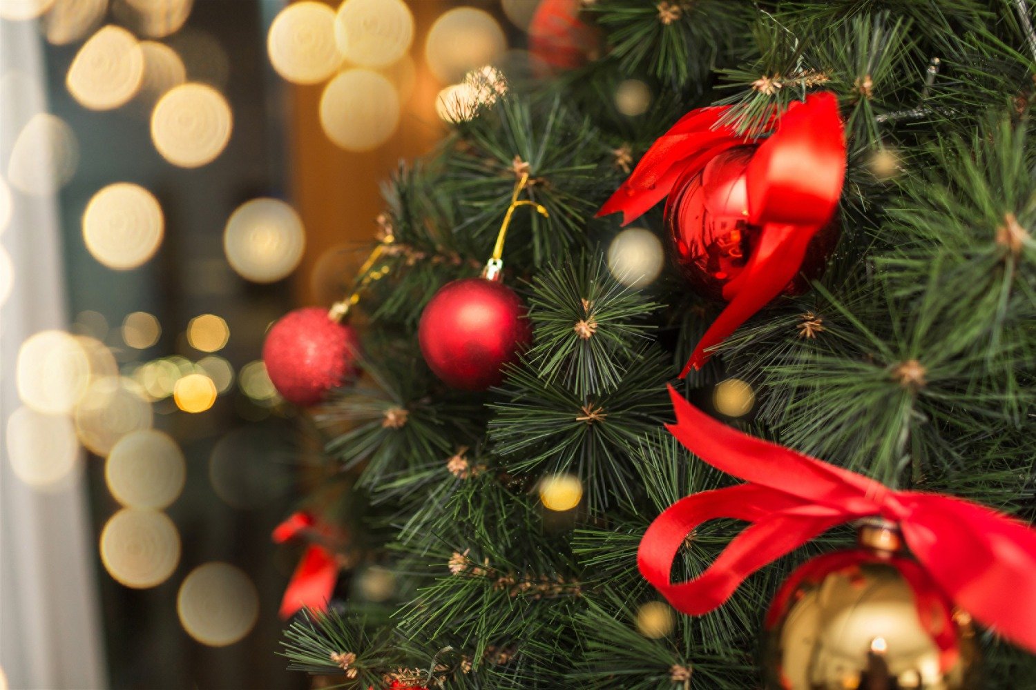 ഹാലിഫാക്സ് മേഖലയിൽ ക്രിസ്മസ് ദിനത്തിൽ ഏതൊക്കെ സേവനങ്ങൾ ലഭ്യമാകും? അറിഞ്ഞിരിക്കാം