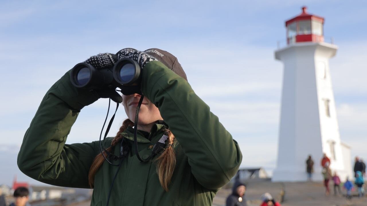 കേപ് ബ്രെട്ടണിൽ ടൂറിസം മേഖലയ്ക്ക് വൻ നേട്ടം; ആഭ്യന്തര സഞ്ചാരികളുടെ എണ്ണത്തിൽ വർദ്ധനവ്