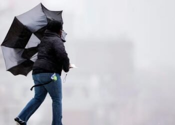 ടൊറന്റോയിൽ ശക്തമായ കാറ്റും മഴയും: കാലാവസ്ഥാ മുന്നറിയിപ്പ് പുറപ്പെടുവിച്ചു