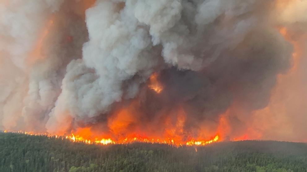 ബി.സി. കാട്ടുതീ: ഈ വർഷം കത്തി നശിച്ചത് 8,800 ചതുരശ്ര കിലോമീറ്റർ വനമേഖലയെന്ന് റിപ്പോർട്ട്