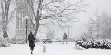 P.E.I-യിൽ ശക്തമായ മഞ്ഞുവീഴ്ച; സ്കൂളുകൾക്ക് അവധി, പൊതുജനങ്ങൾക്ക് ജാഗ്രതാനിർദ്ദേശം 2 P.E.I-യിൽ ശക്തമായ മഞ്ഞുവീഴ്ച; സ്കൂളുകൾക്ക് അവധി, പൊതുജനങ്ങൾക്ക് ജാഗ്രതാനിർദ്ദേശം