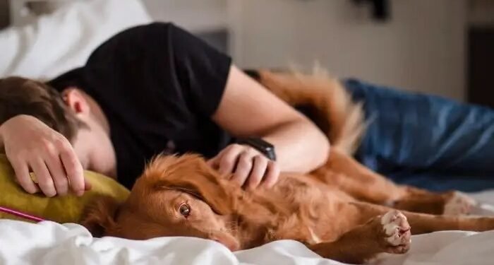 വളർത്തുമൃഗങ്ങളുടെ വിയോഗം: ദുഃഖമകറ്റാൻ പുതിയ ഓൺലൈൻ സഹായകേന്ദ്രവുമായി ഒന്റാരിയോ വെറ്ററിനറി കോളേജ്