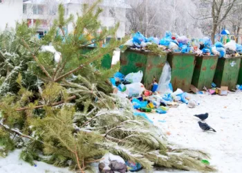 ആഘോഷങ്ങൾ കഴിയുമ്പോൾ മാലിന്യക്കൂമ്പാരമാകേണ്ട; പുനരുപയോഗത്തിനായി ശ്രദ്ധിക്കാം, നിർദ്ദേശങ്ങളുമായി റീസൈക്കിൾ ബി.സി. 1 what-to-do-with-all-that-holiday-waste