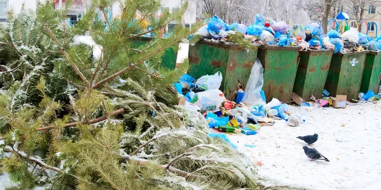 ആഘോഷങ്ങൾ കഴിയുമ്പോൾ മാലിന്യക്കൂമ്പാരമാകേണ്ട; പുനരുപയോഗത്തിനായി ശ്രദ്ധിക്കാം, നിർദ്ദേശങ്ങളുമായി റീസൈക്കിൾ ബി.സി. 1 what-to-do-with-all-that-holiday-waste