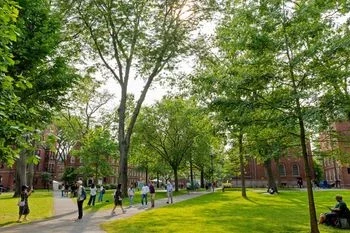 31% drop of Indian students at harvard university