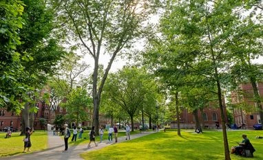 31% drop of Indian students at harvard university