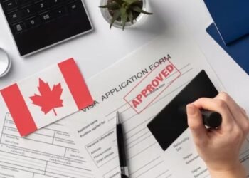 visa form