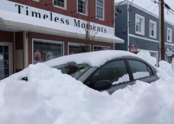 halifax snow