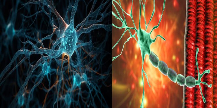 അജ്ഞാത മസ്തിഷ്ക രോഗമോ അതോ തെറ്റായ രോഗനിർണ്ണയമോ?; കാനഡയെ നടുക്കി ദുരൂഹ നാഡീരോഗം 1 neurological-disease