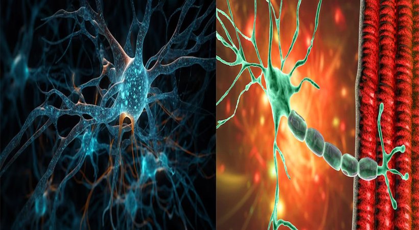 neurological-disease