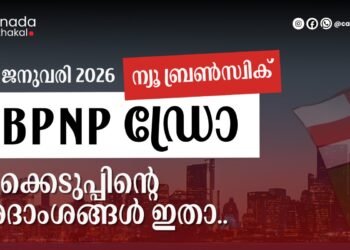 nb pnp