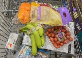 ഭക്ഷണത്തെക്കുറിച്ചുള്ള അമിതചിന്ത മനസ്സിനെ തളർത്തുന്നോ? എന്താണ് 'ഫുഡ് നോയിസ്'; പരിഹാരങ്ങൾ ഇങ്ങനെ 1 A cart of groceries is shown in a store in Montreal, Saturday, Dec. 14, 2024. THE CANADIAN PRESS/Graham Hughes