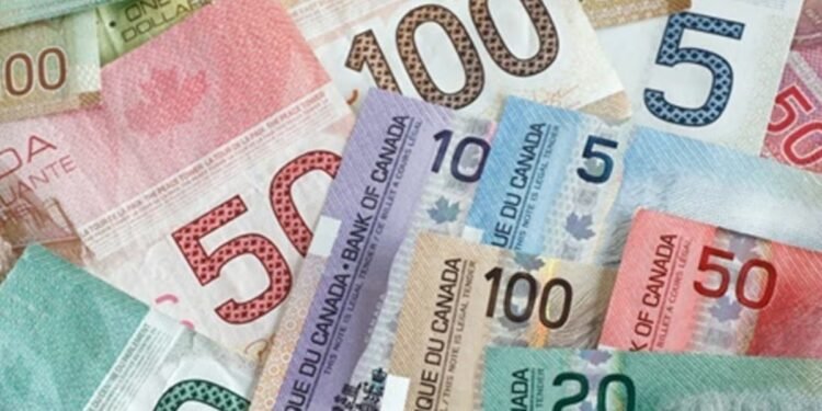 ഒട്ടാവയിൽ പുതുവർഷത്തിൽ ജീവിതച്ചെലവ് വർധിക്കും;13 മേഖലകളിലെ സേവന നിരക്കുകളിൽ വർധനവിന് സാധ്യതയെന്ന് റിപ്പോർട്ട്