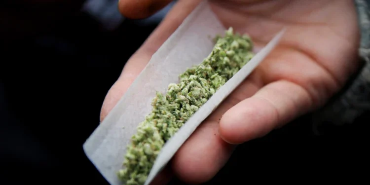 കഞ്ചാവ് ഉപയോഗവും മാനസികാരോഗ്യവും; ഒന്റാരിയോയിലെ കൗമാരക്കാർക്കിടയിൽ വിഷാദരോഗം വർദ്ധിക്കുന്നുവെന്ന് പുതിയ പഠനം