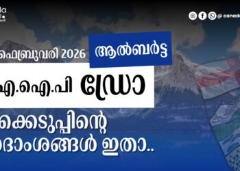 ആൽബർട്ട പിഎൻപി നറുക്കെടുപ്പ്: ഫെബ്രുവരി 20, 24 തീയതികളിൽ നടന്ന നറുക്കെടുപ്പുകളുടെ വിശദാംശങ്ങൾ ഇതാ..