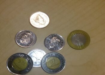 രൂപത്തിൽ കാനഡയെ വെട്ടിച്ച് ഇന്ത്യ!; കനേഡിയൻ ടുണിയും നമ്മുടെ 10 രൂപയും തമ്മിൽ ഇത്ര സാമ്യമോ? കനേഡിയൻ യുവതിയെ അമ്പരപ്പിച്ച ആ ‘നാണയ’ക്കഥ!