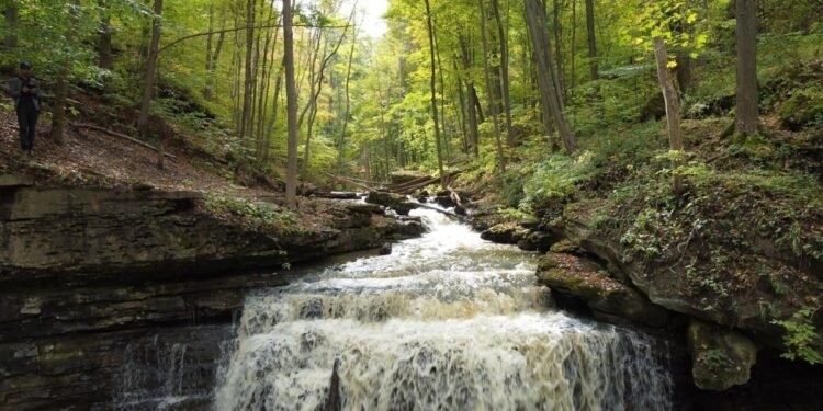 ഒന്റാരിയോയിൽ ലയന നീക്കത്തിനെതിരെ പ്രതിഷേധം ശക്തം; സർക്കാരിനെതിരെ നയാഗ്ര-ഓൺ-ദി-ലേക്കും 1 Niagara-on-the-Lake is opposing the province’s amalgamation of Niagara Peninsula Conservation Authority with three other agencies.