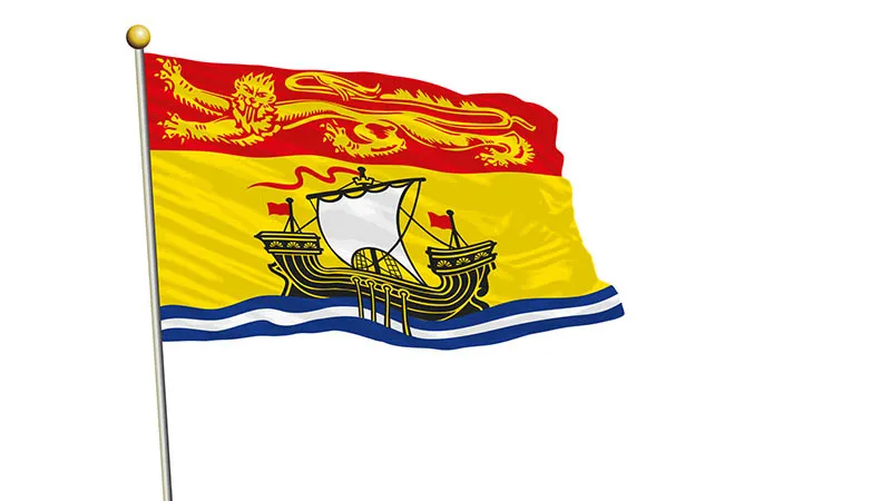 ന്യൂ ബ്രൺസ്‌വിക് മെഡിക്കെയർ വിവരങ്ങൾ കൈമാറുന്നതിൽ പിഴവ്; 365 കുടുംബങ്ങളെ ബാധിച്ചതായി റിപ്പോർട്ട്