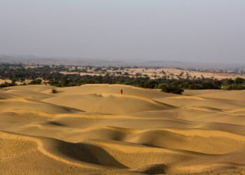 desert