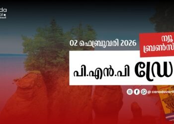 NBPNP ഡ്രോ: ഫെബ്രുവരി 2ന് നടന്ന നറുക്കെടുപ്പിന്റെ വിശദാംശങ്ങൾ ഇതാ