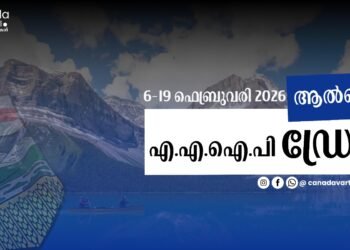 AAIP ഡ്രോ: ആറ് വ്യത്യസ്ത ഡ്രോകളിലായി നിരവധി പേർക്ക് ക്ഷണം; വിശദാംശങ്ങൾ ഇതാ