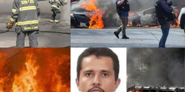 എല് മെഞ്ചോയുടെ കൊലപാതകം ; മെക്സിക്കോയിൽ അക്രമം പടരുന്നു, ഇന്ത്യക്കാർക്ക് ജാഗ്രതാ നിർദ്ദേശവുമായി എംബസി 1 എല് മെഞ്ചോയുടെ കൊലപാതകം ; മെക്സിക്കോയിൽ അക്രമം പടരുന്നു, ഇന്ത്യക്കാർക്ക് ജാഗ്രതാ നിർദ്ദേശവുമായി എംബസി