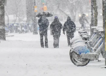 ശക്തമായ മഞ്ഞുവീഴ്ച; പി.ഇ.ഐയിൽ വിദ്യാലയങ്ങൾ നേരത്തെ അടയ്ക്കും, കോളേജുകൾക്കും അവധി 1 ശക്തമായ മഞ്ഞുവീഴ്ച; പി.ഇ.ഐയിൽ വിദ്യാലയങ്ങൾ നേരത്തെ അടയ്ക്കും, കോളേജുകൾക്കും അവധി
