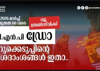 NBPNP, AIP ഡ്രോ: 600-ലധികം ഉദ്യോഗാർത്ഥികൾക്ക് ക്ഷണം, നറുക്കെടുപ്പിന്റെ വിശദാംശങ്ങൾ ഇതാ